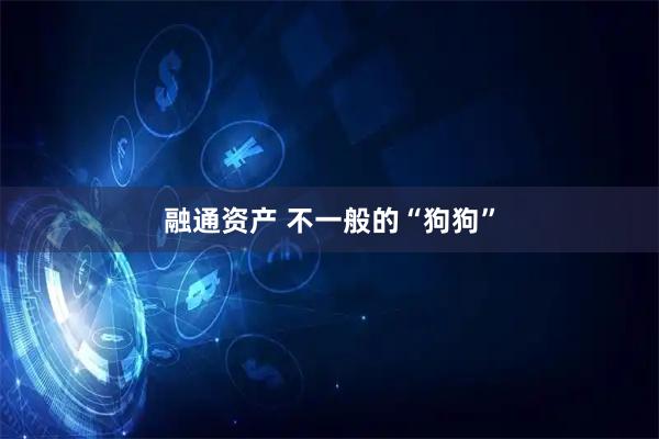 融通资产 不一般的“狗狗”