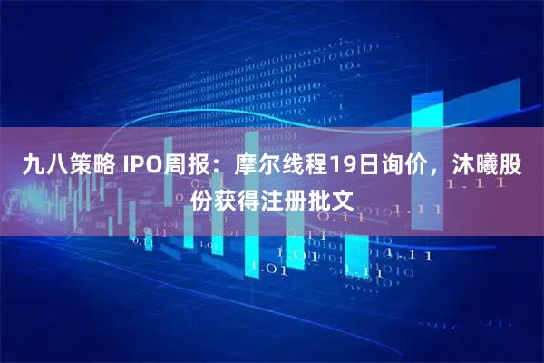 九八策略 IPO周报:摩尔线程19日询价,沐曦股份获得注册批文