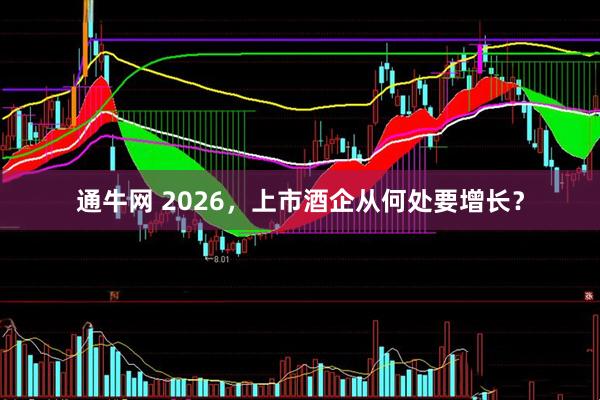 通牛网 2026，上市酒企从何处要增长？