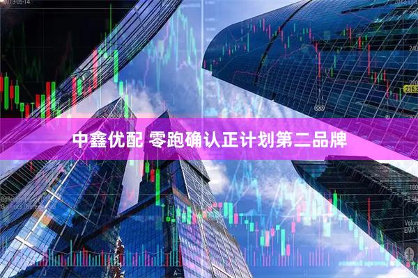中鑫优配 零跑确认正计划第二品牌
