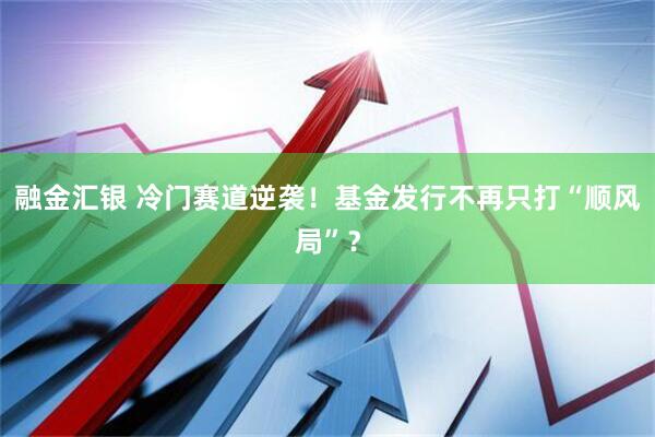 融金汇银 冷门赛道逆袭！基金发行不再只打“顺风局”？